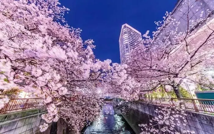 Lucky House503 Apartment Tokyo Japan
